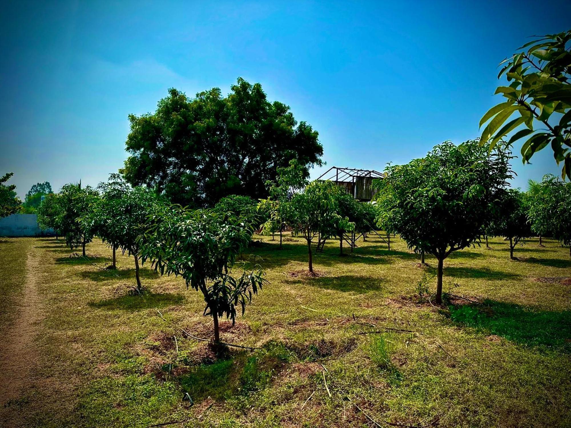Mangohut Farmhouse Pool Villa Haydarabad Dış mekan fotoğraf